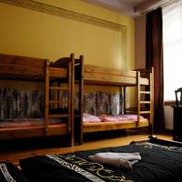 Bed in 6-Bed Dormitory Room