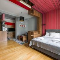 Large Studio Apartment (max 3 adults) - Biskupia 4
