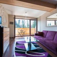 Apartment with Mountain View