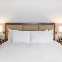 Hilton King Room