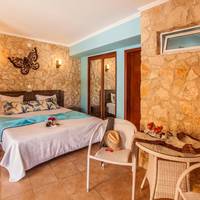 Premium Double Room with Pool View