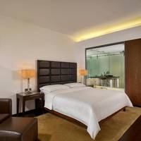 Club, Club Lounge and Spa access level, Guest room, 1 Queen