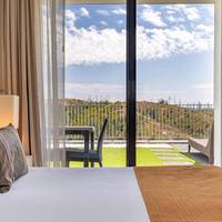 Suite with Terrace and Mountain View