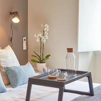 One-Bedroom Apartment with River View