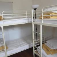 Bed in 6-Bed Mixed Dormitory Room