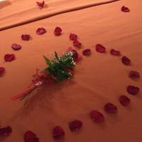 Superior Studio / Romantic Package (2 Adults)