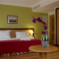 Double or Twin Room with Mountain View