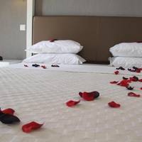 Room #24875723