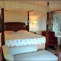 Room #110367150