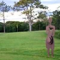 Superior Garden