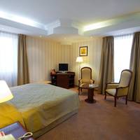 Business Room with One King Bed - Non-Smoking