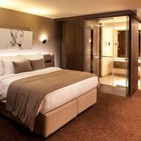 Business Double or Twin Room