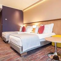 Superior Double or Twin Room with Terrace