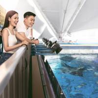 Special Offer: Island Wonder - Deluxe Double or Twin Room