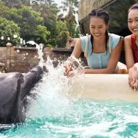 Special Offer: Island Joy - Deluxe Double or Twin Room