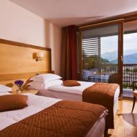 Twin Room with Lake View