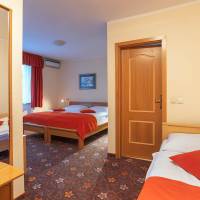 Budget Triple Room