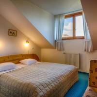 Double Room with Wellness Access