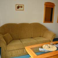 Suite with Wellness Access