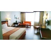 Room #2733026