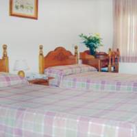 Economy Twin Room