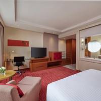 Deluxe King Room with City View