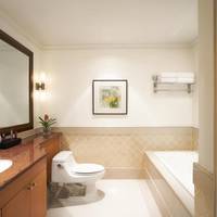 Superior One-Bedroom King Suite with City View