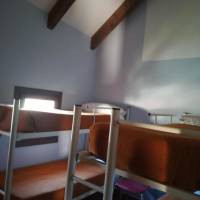 Bed in 4-Bed Dormitory Room