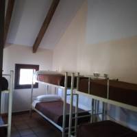 Single Bed in 6-Bed Dormitory Room
