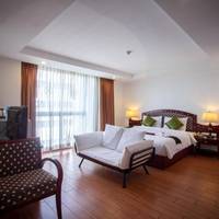 Premier King Room