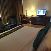 Deluxe One-Bedroom Suite