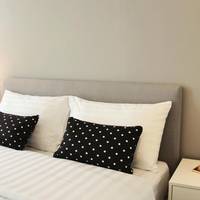 Studio Suite