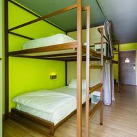 Bed in 4-Bed Mixed Dormitory Room (fully vaccinated required)