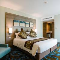 Deluxe Double Room with One Complimentary Minibar Set