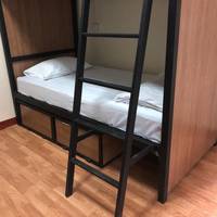 Bunk Bed in Mixed Dormitory Room