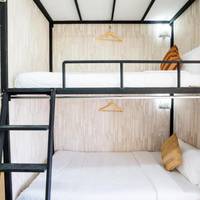 Bunk Bed in Mixed Dormitory Room