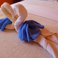 Standard Double or Twin Room with Air Conditioning