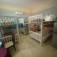 Bed in 6-Bed Mixed Dormitory Room