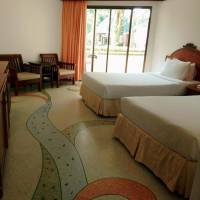Deluxe Double or Twin Room with Pool View