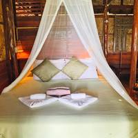 Orchid Villa