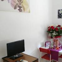 Standard Studio