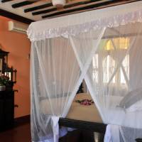 Single Room with Bath