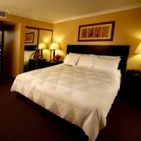 One-Bedroom Suite with Sofa Bed