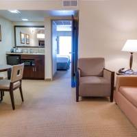 One-Bedroom King Suite - Non-Smoking
