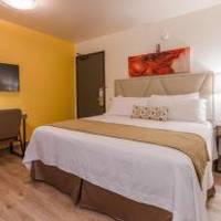 Room #25900718
