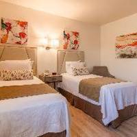 Room #25900754