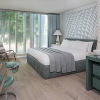 Deluxe King, Guest room, 1 King