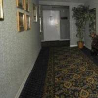 Room #32646515