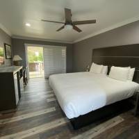 Superior King Room - Non-Smoking