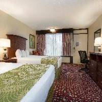 Room #5626605